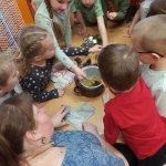 phoca_thumb_m_zajci a krmtko 7 Fotogalerie